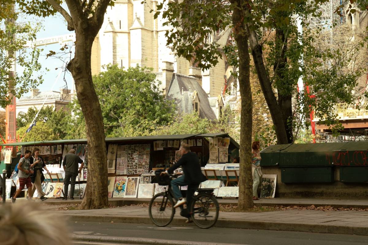 הערים שכבר ניצחו את הפקקים